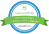 Salesforce Consultants