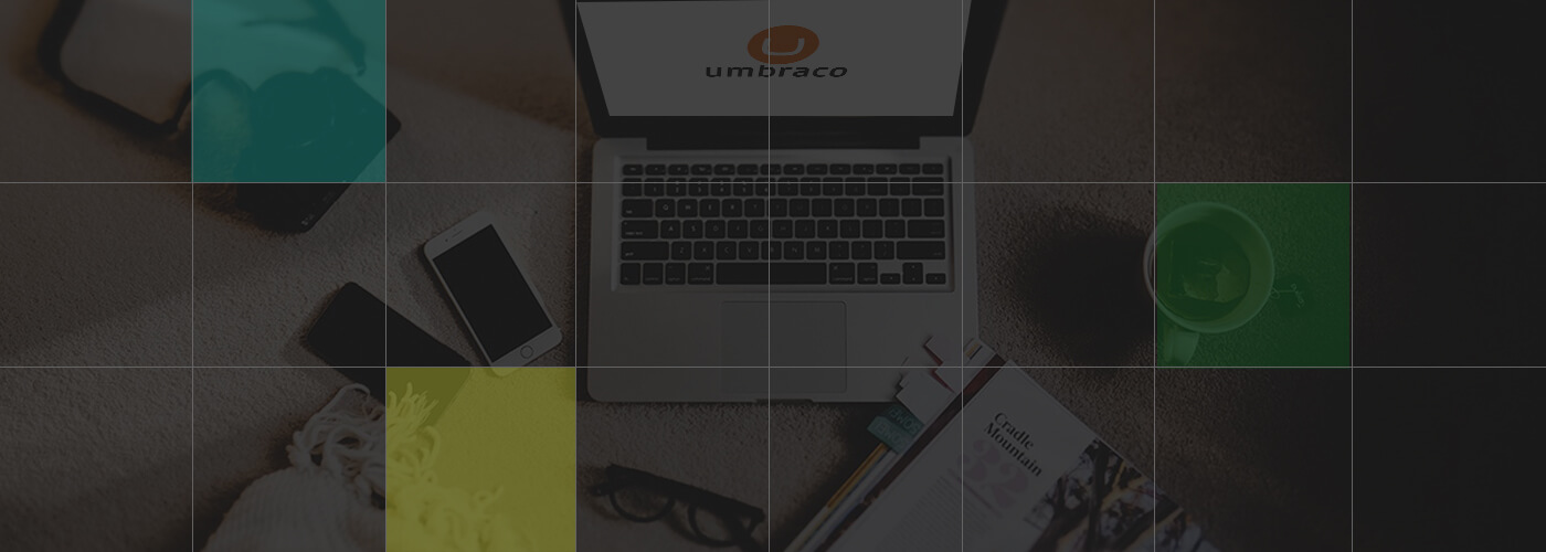 Umbraco CMS Web Development Services Company